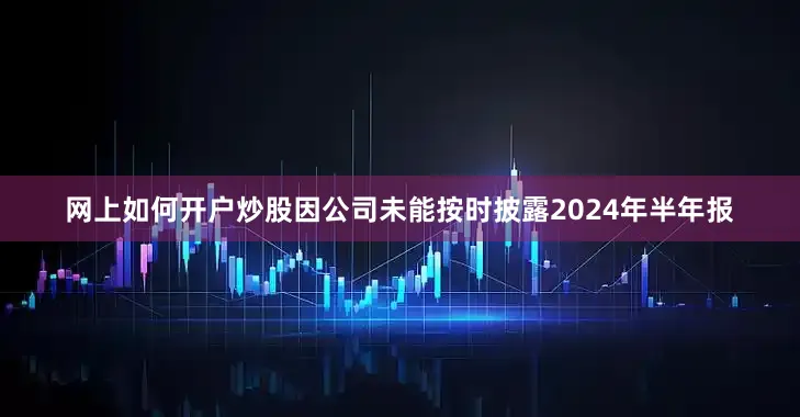 网上如何开户炒股因公司未能按时披露2024年半年报