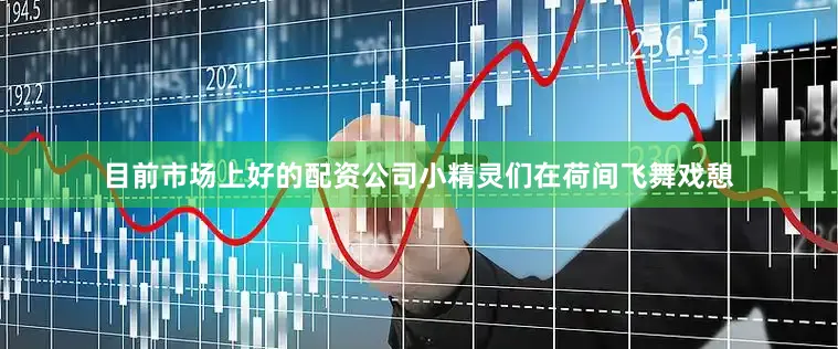 目前市场上好的配资公司小精灵们在荷间飞舞戏憩