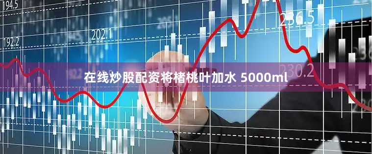 在线炒股配资将楮桃叶加水 5000ml